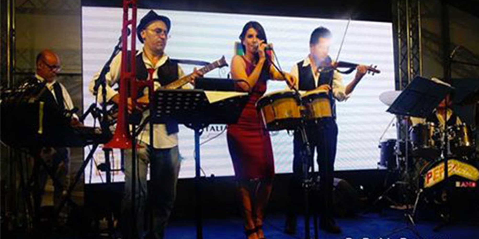 Formazioni musicali PePeNeRo in duo, trio e band
